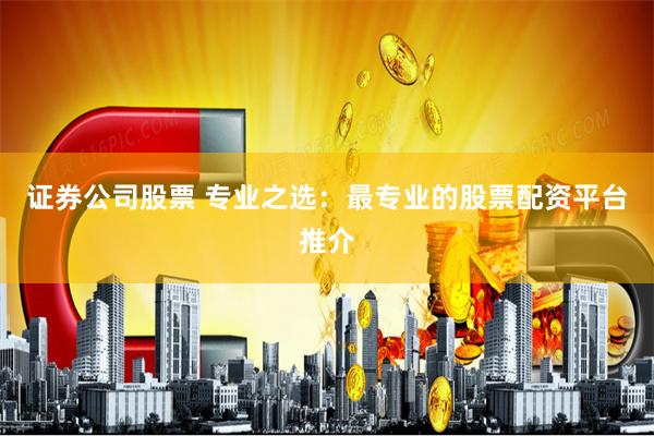 证券公司股票 专业之选：最专业的股票配资平台推介