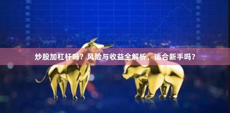 炒股加杠杆吗？风险与收益全解析，适合新手吗？