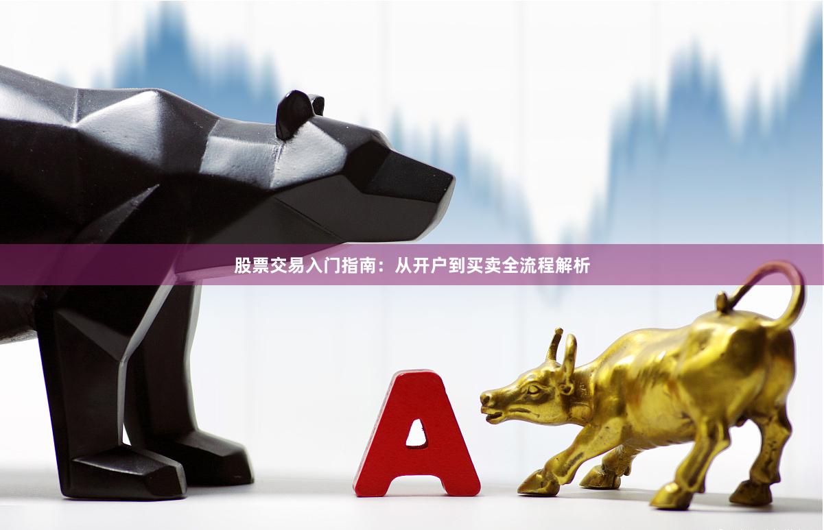 股票交易入门指南：从开户到买卖全流程解析