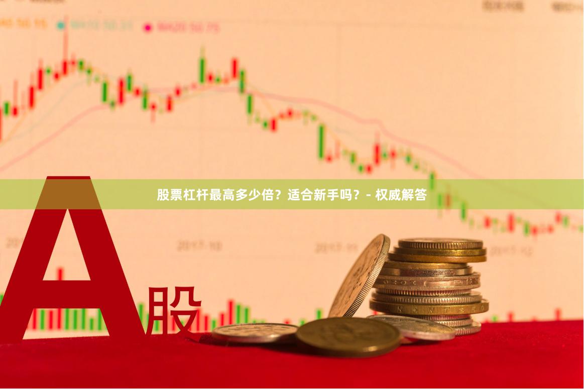 股票杠杆最高多少倍？适合新手吗？- 权威解答