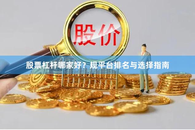 股票杠杆哪家好？规平台排名与选择指南