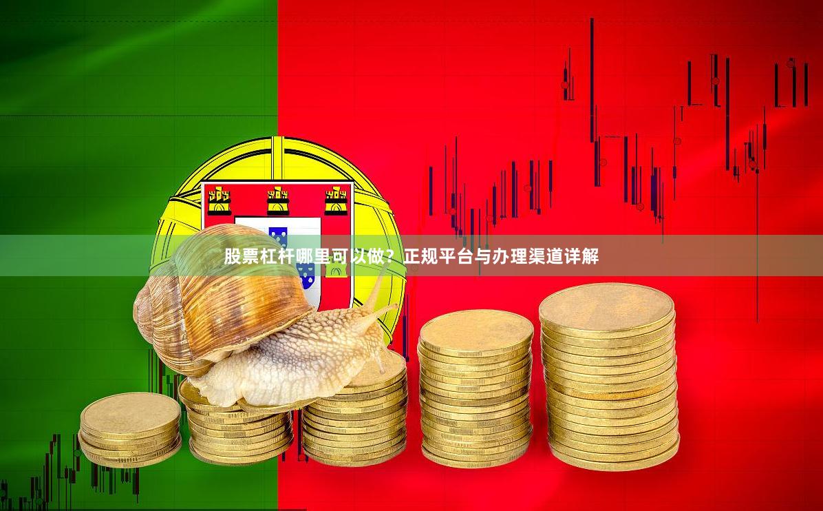 股票杠杆哪里可以做？正规平台与办理渠道详解