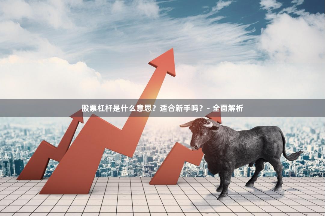 股票杠杆是什么意思？适合新手吗？- 全面解析